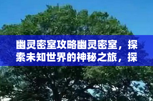幽灵密室攻略幽灵密室，探索未知世界的神秘之旅，探索未知世界的神秘之旅，幽灵密室攻略
