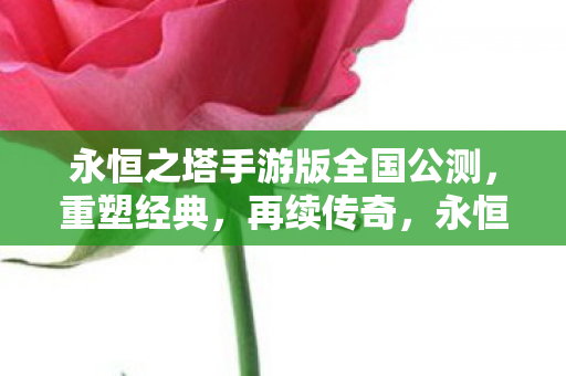 永恒之塔手游版全国公测图片