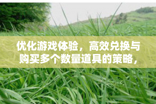 优化游戏体验，高效兑换与购买多个数量道具的策略，优化游戏体验，高效兑换与购买多个数量道具的策略