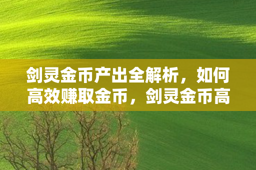 剑灵金币产出全解析，如何高效赚取金币，剑灵金币高效赚取攻略，全面解析金币产出