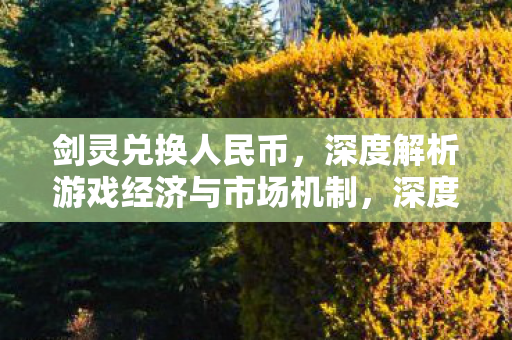 剑灵兑换人民币,深度解析游戏经济与市场机制,深度解析,剑灵游戏经济与市场机制 剑灵兑换人民币,深度解析游戏经济与市场机制,深度解析,剑灵游戏经济与市场机制