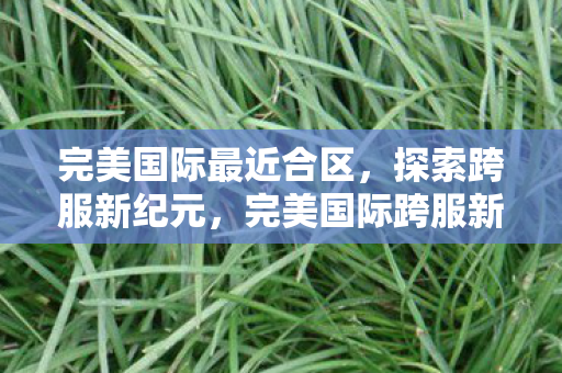 完美国际跨服新纪元图片