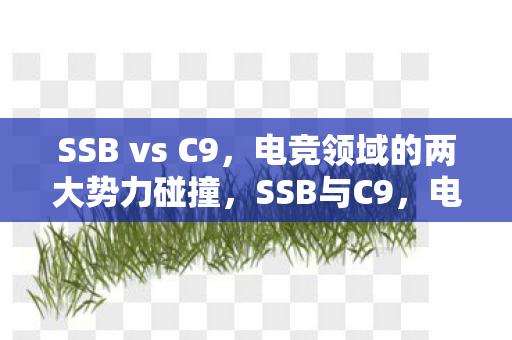 电竞领域的两大势力碰撞图片