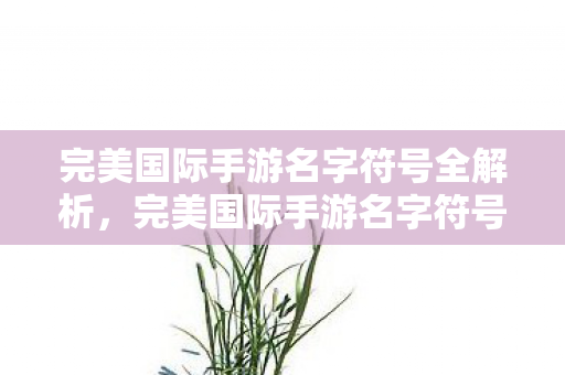 完美国际手游名字符号全解析图片
