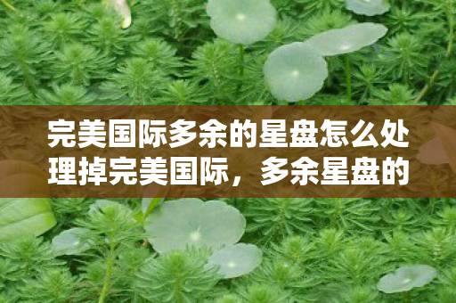 完美国际多余的星盘怎么处理掉完美国际图片