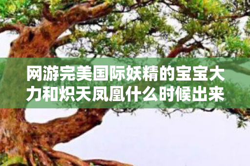 网游完美国际妖精的宝宝大力和炽天凤凰什么时候出来的网游完美国际图片