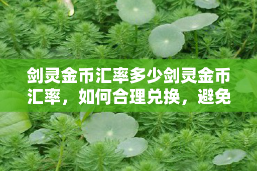 剑灵金币汇率多少剑灵金币汇率，如何合理兑换，避免风险？揭秘剑灵金币汇率，智慧兑换策略，规避风险指南