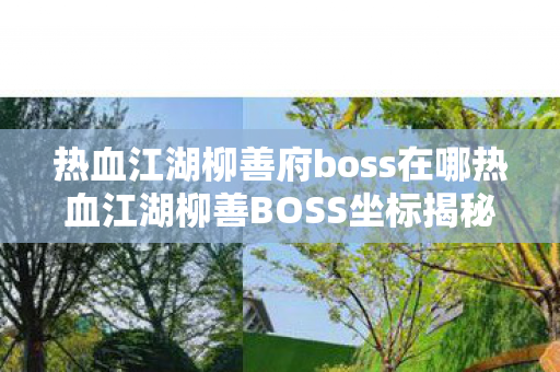 热血江湖柳善府boss在哪热血江湖柳善BOSS坐标揭秘,探寻未知的挑战与宝藏,热血江湖柳善BOSS坐标揭秘,挑战与宝藏的未知之旅 热血江湖柳善府boss在哪热血江湖柳善BOSS坐标揭秘,探寻未知的挑战与宝藏,热血江湖柳善BOSS坐标揭秘,挑战与宝藏的未知之旅