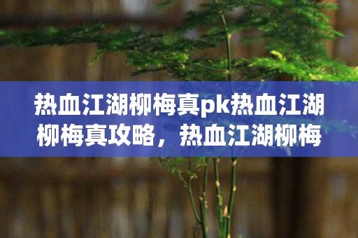 热血江湖柳梅真pk热血江湖柳梅真攻略，热血江湖柳梅真PK技巧与攻略