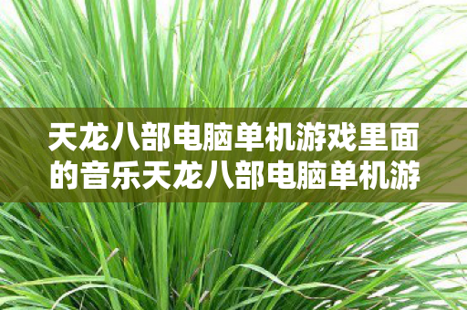 天龙八部电脑单机游戏里面的音乐天龙八部电脑单机游戏图片