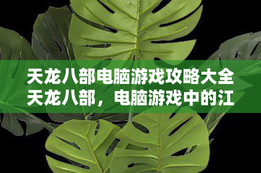 天龙八部电脑游戏攻略大全天龙八部图片