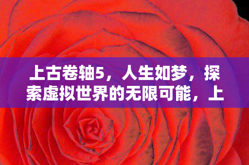 探索虚拟世界的无限可能图片