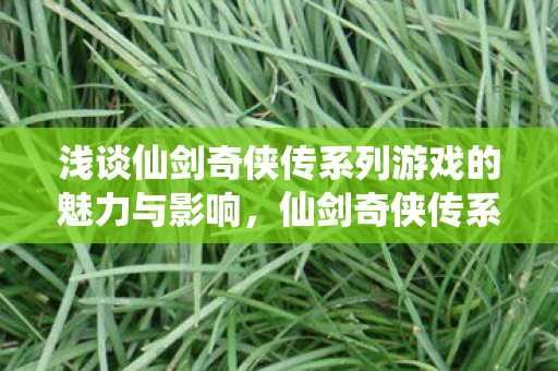 浅谈仙剑奇侠传系列游戏的魅力与影响图片