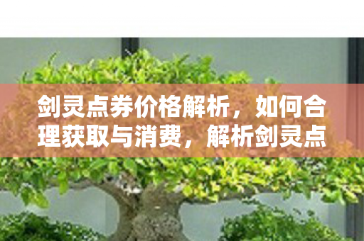剑灵点券价格解析，如何合理获取与消费，解析剑灵点券价格，智慧获取与消费攻略