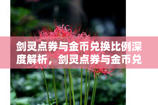 剑灵点券与金币兑换比例深度解析,剑灵点券与金币兑换比例全解析 剑灵点券与金币兑换比例深度解析,剑灵点券与金币兑换比例全解析