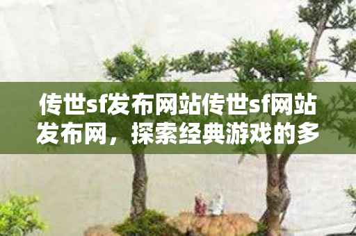 传世sf发布网站传世sf网站发布网图片