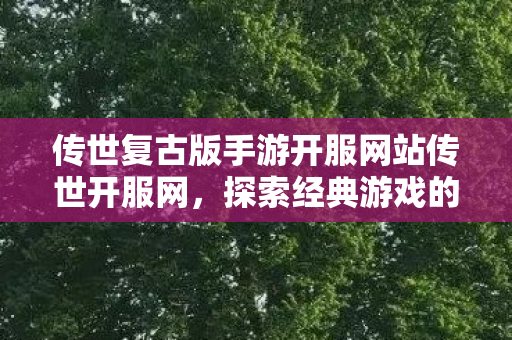 传世复古版手游开服网站传世开服网图片