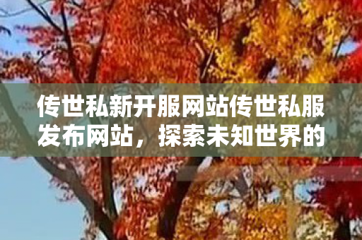 传世私新开服网站传世私服发布网站图片