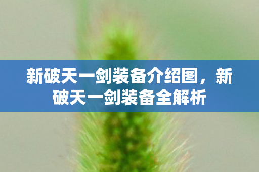 新破天一剑装备介绍图,新破天一剑装备全解析 新破天一剑装备介绍图,新破天一剑装备全解析