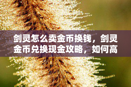 剑灵怎么卖金币换钱,剑灵金币兑换现金攻略,如何高效卖出游戏金币? 剑灵怎么卖金币换钱,剑灵金币兑换现金攻略,如何高效卖出游戏金币?
