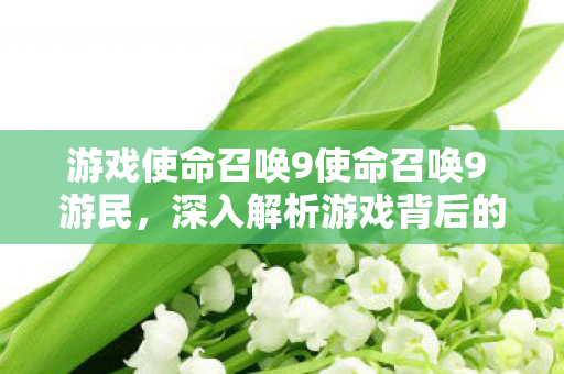 游戏使命召唤9使命召唤9 游民，深入解析游戏背后的魅力，使命召唤9游民深度解析，揭秘游戏背后的魅力