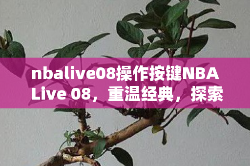 nbalive08操作按键NBA Live 08，重温经典，探索篮球游戏的无限可能，NBA Live 08，重温经典，探索篮球游戏的无限可能