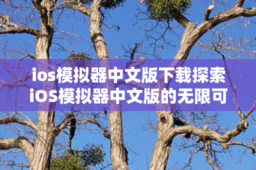 ios模拟器中文版下载探索iOS模拟器中文版的无限可能,探索iOS模拟器中文版的无限可能,中文版下载指南 ios模拟器中文版下载探索iOS模拟器中文版的无限可能,探索iOS模拟器中文版的无限可能,中文版下载指南