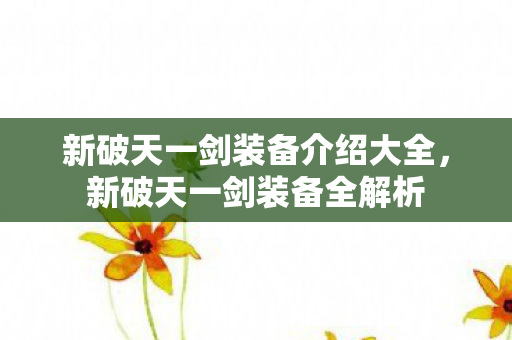 新破天一剑装备介绍大全，新破天一剑装备全解析