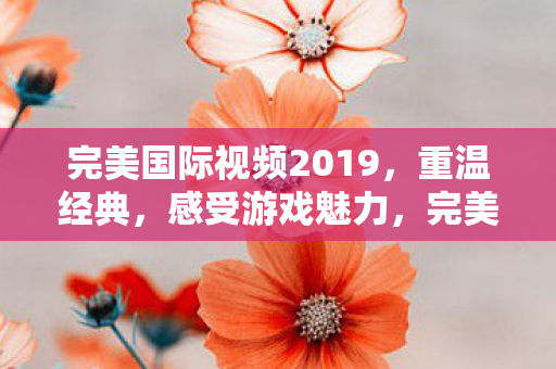 完美国际2019经典重温图片