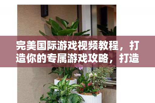 完美国际游戏视频教程图片