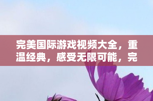 完美国际游戏视频大全图片