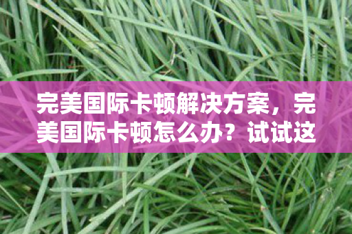 完美国际卡顿解决方案图片