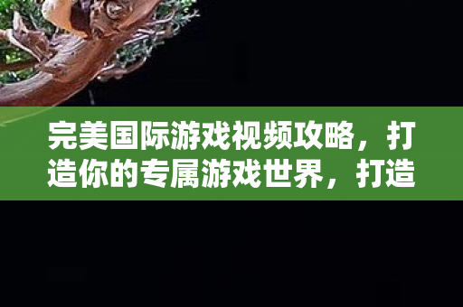 完美国际游戏视频攻略图片