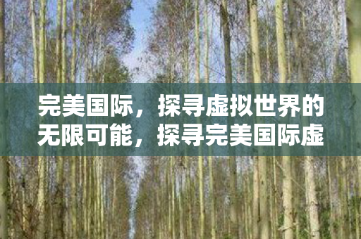 探寻完美国际虚拟世界的无限可能图片