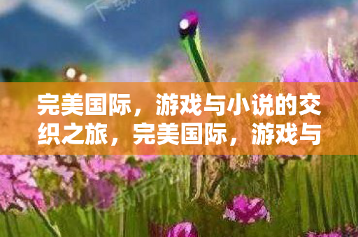 游戏与小说的交织之旅图片