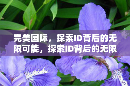探索ID背后的无限可能图片