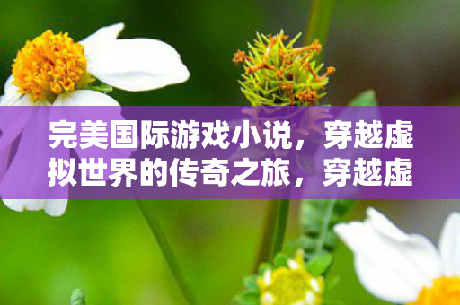 穿越虚拟世界的传奇之旅图片