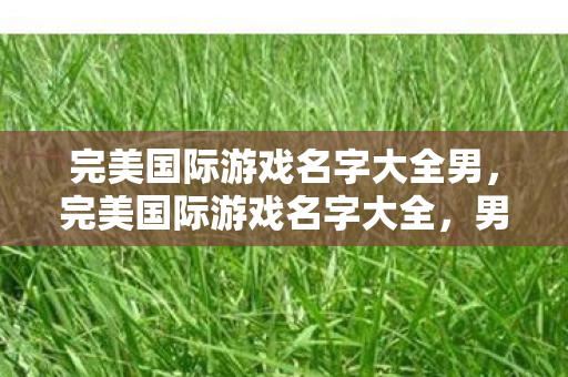 完美国际游戏名字大全男图片
