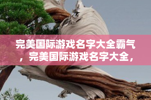 完美国际游戏名字大全霸气图片