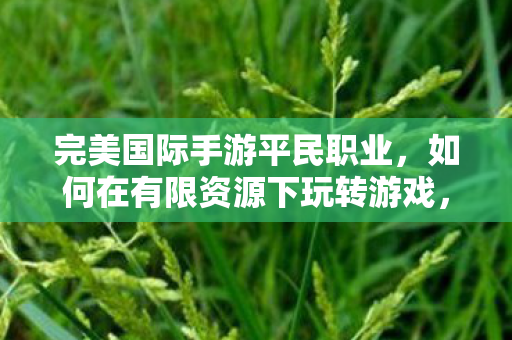 如何在有限资源下玩转完美国际手游平民职业图片
