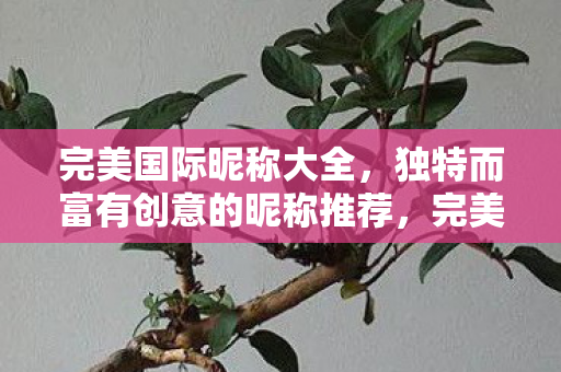 独特而富有创意的昵称推荐图片