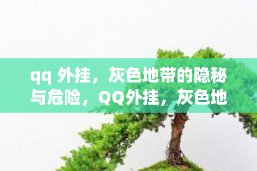灰色地带的隐秘与危险图片