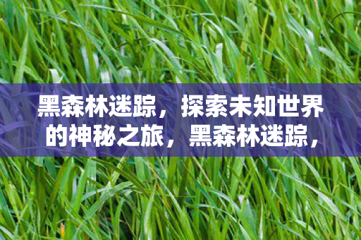 探索未知世界的神秘之旅图片