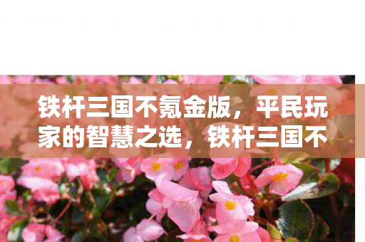 平民玩家的智慧之选图片