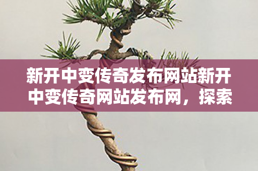 新开中变传奇发布网站新开中变传奇网站发布网图片