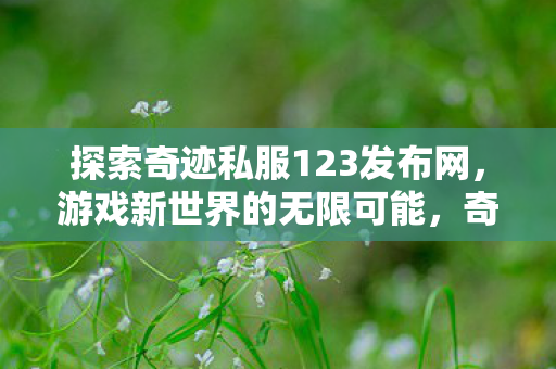 探索奇迹私服123发布网图片