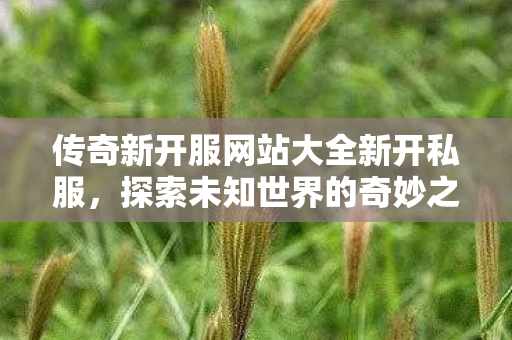 传奇新开服网站大全新开私服图片