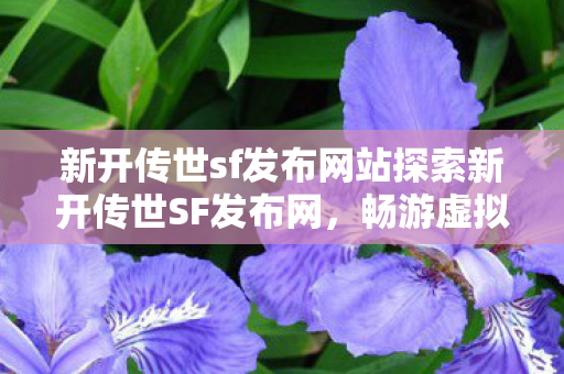 新开传世sf发布网站探索新开传世SF发布网图片