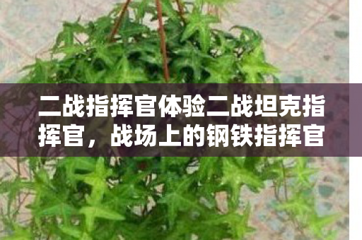 二战指挥官体验二战坦克指挥官,战场上的钢铁指挥官,二战坦克指挥官,战场上的钢铁指挥官 二战指挥官体验二战坦克指挥官,战场上的钢铁指挥官,二战坦克指挥官,战场上的钢铁指挥官