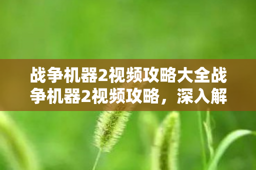 战争机器2视频攻略大全战争机器2视频攻略，深入解析战斗策略与技巧，战争机器2，战斗策略与技巧全解析